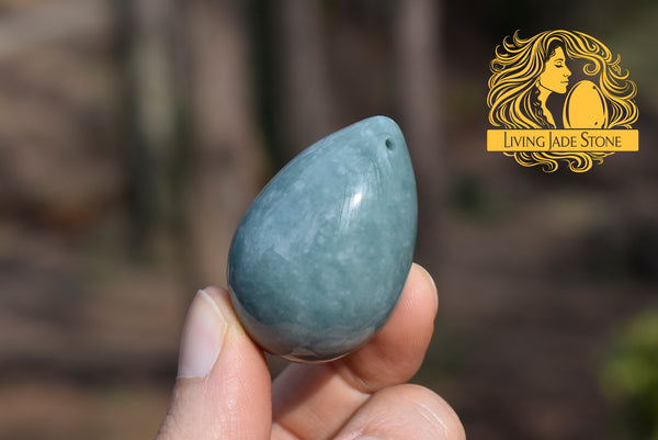 Large individual egg